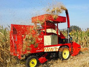 邢台物超所值的自动玉米收获机哪里买 自走式玉米收割机,邢台物超所值的自动玉米收获机哪里买 自走式玉米收割机生产厂家,邢台物超所值的自动玉米收获机哪里买 自走式玉米收割机价格